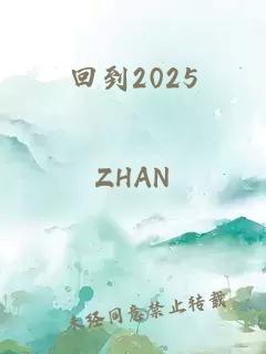 回到2025